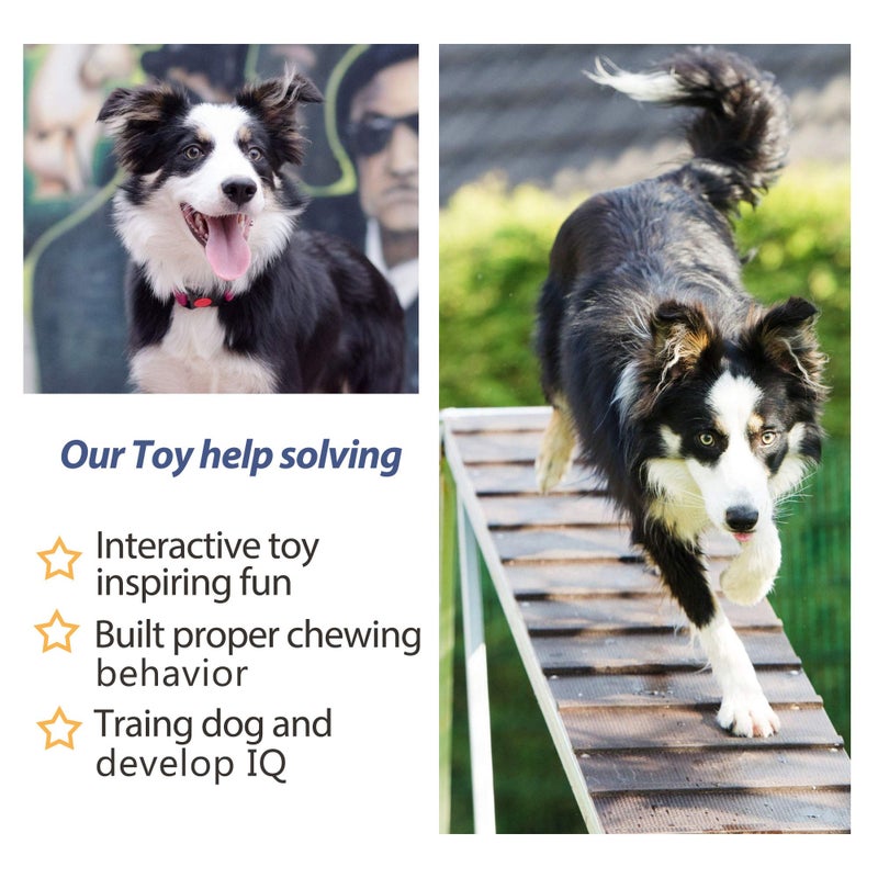 Fida Dog Rope Toys 4 Pack, Puppy Teething Sturdy Cotton Chew Tug Ropes Indoor/Outdoor, Exercise Interactive Tug O'War Toys Set for Boredom Small-Meidum Dogs - Image 5